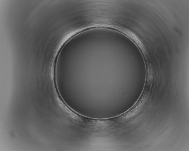 X0000111360958200907171201