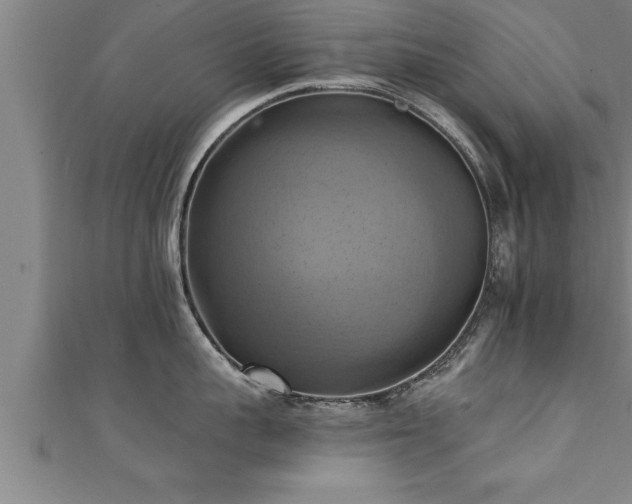 X0000111360959200907171201