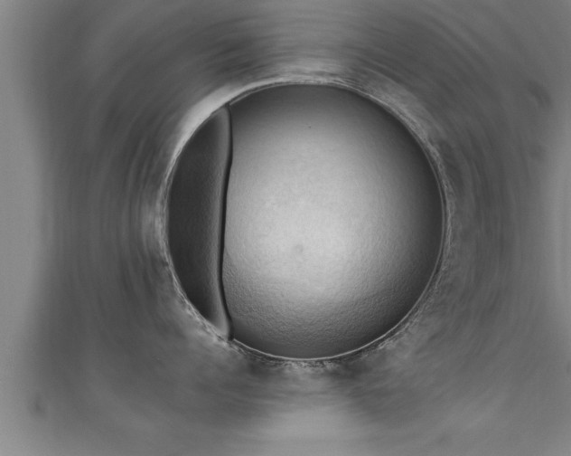 X0000111360960200907171201