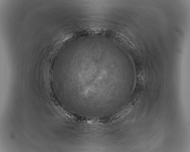 X0000111360961200907171200