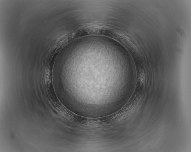 X0000111360964200907171200