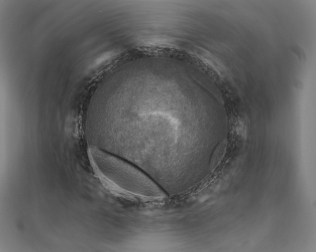 X0000111360965200907171200