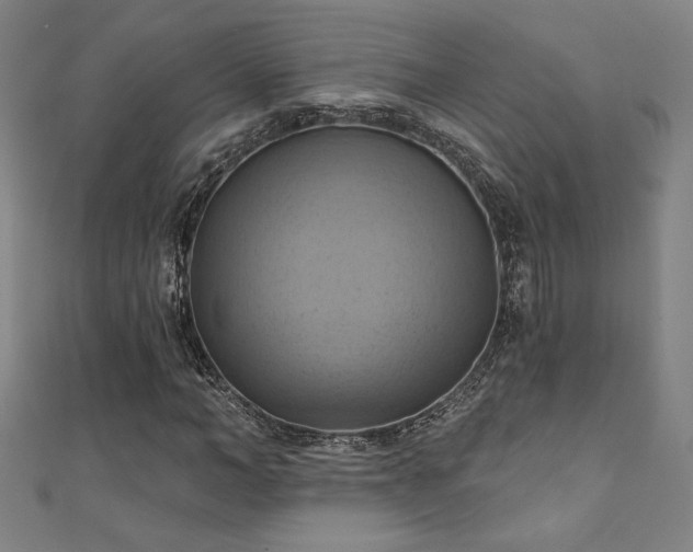 X0000111360966200907171200