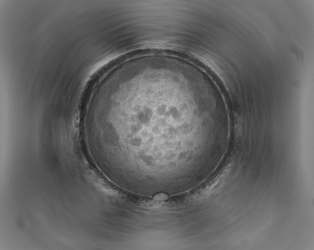 X0000111360971200907171200