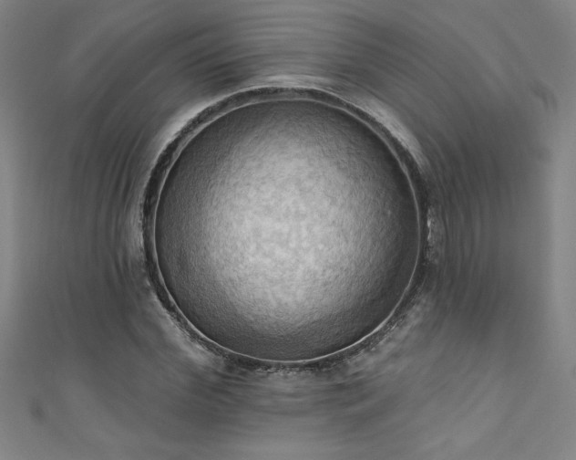 X0000111360972200907171200