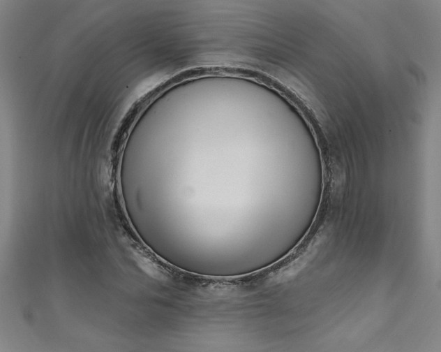 X0000111360974200907171200