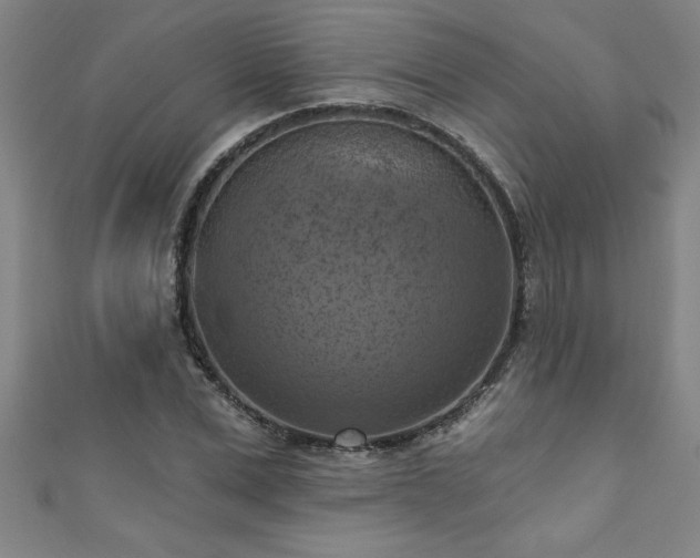 X0000111360975200907171200