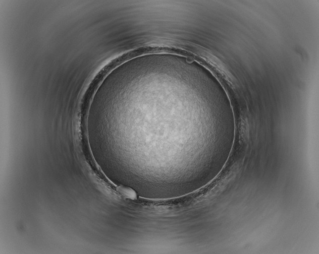 X0000111360976200907171200