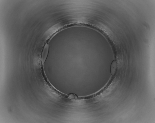 X0000111360977200907171200