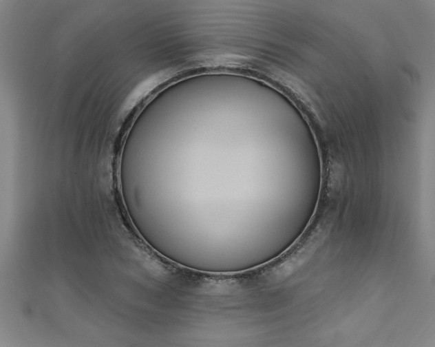 X0000111360978200907171200