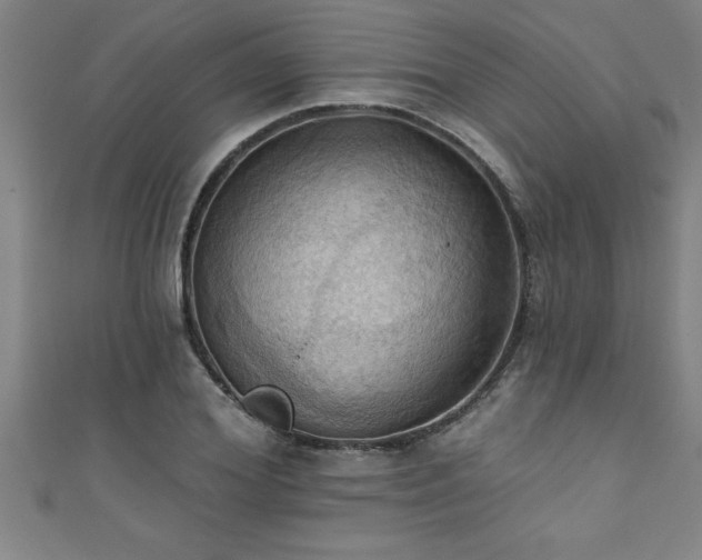 X0000111360980200907171200
