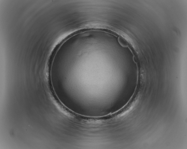 X0000111360981200907171200