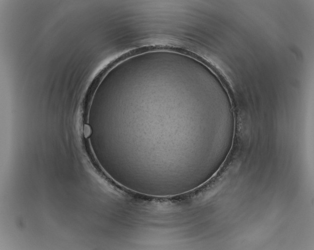X0000111360983200907171200