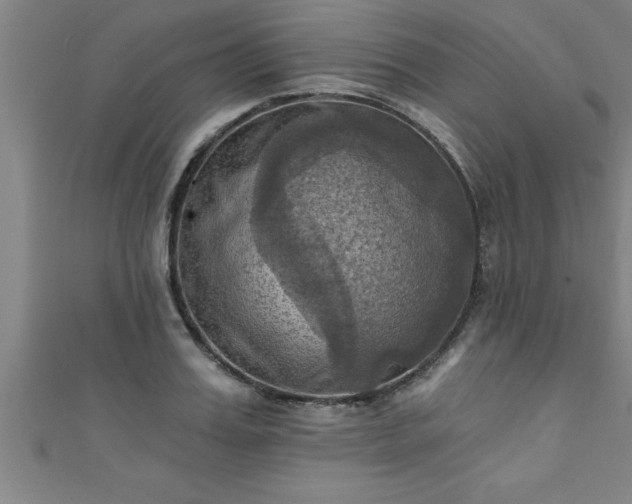 X0000111360987200907171200