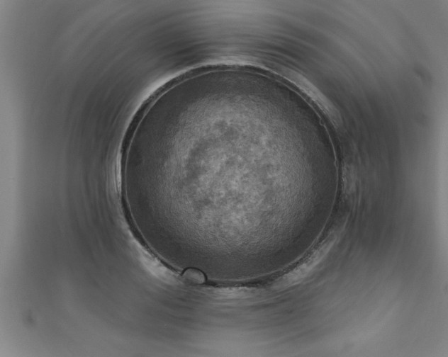 X0000111360988200907171200