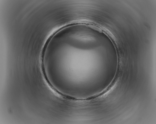 X0000111360989200907171200