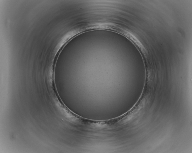 X0000111360994200907171200