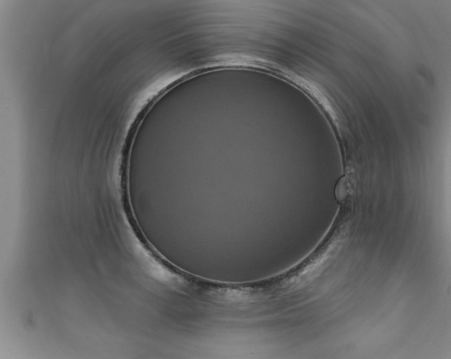 X0000111360995200907171200