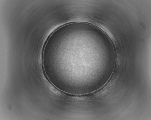 X0000111360996200907171200