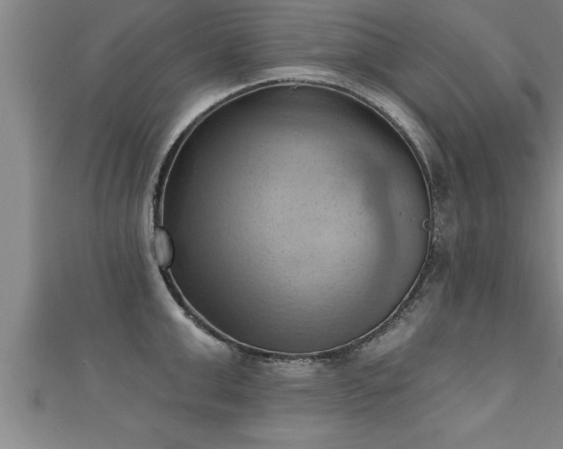 X0000111360999200907171200