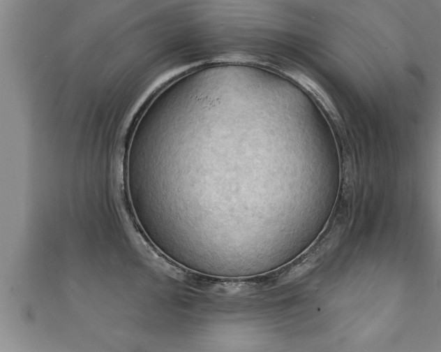 X0000111361000200907171200