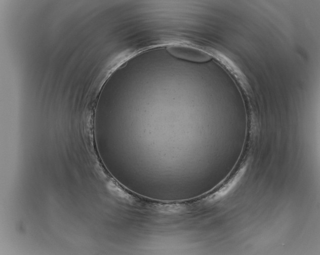 X0000111361001200907171200