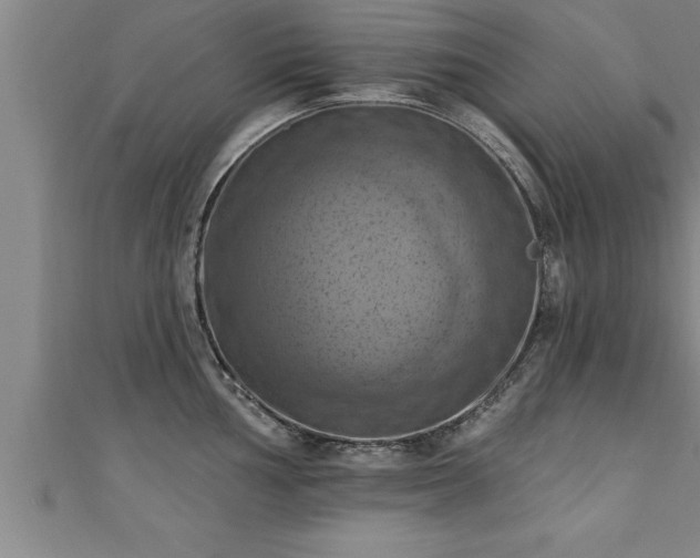 X0000111361002200907171200