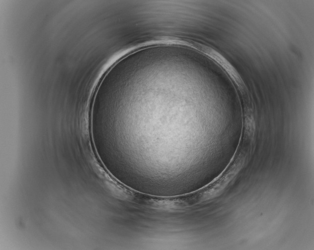 X0000111361004200907171200