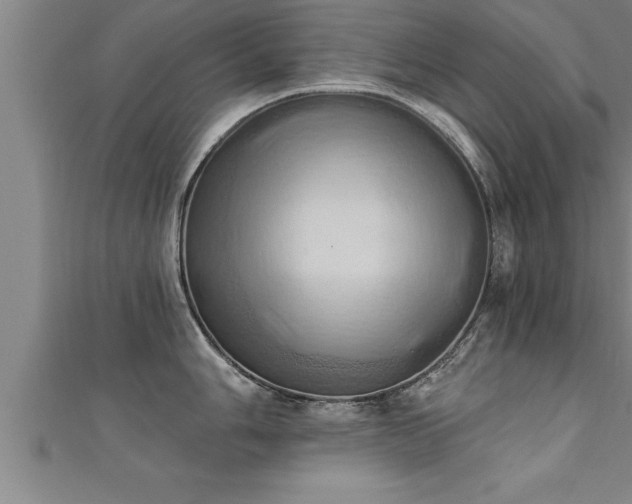 X0000111361006200907171200