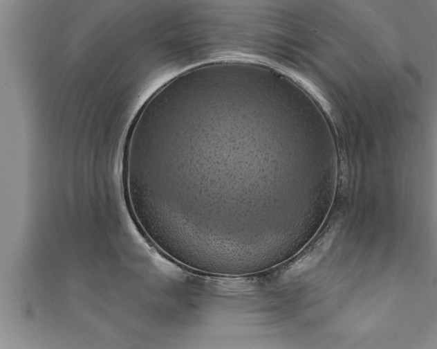 X0000111361007200907171200