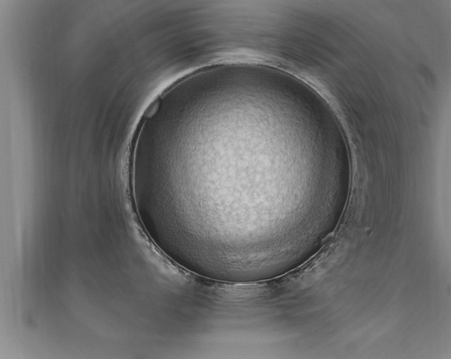 X0000111361008200907171200