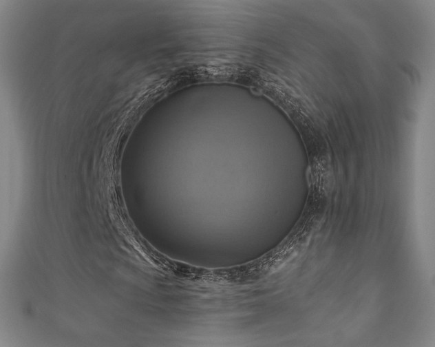 X0000111361009200907171159