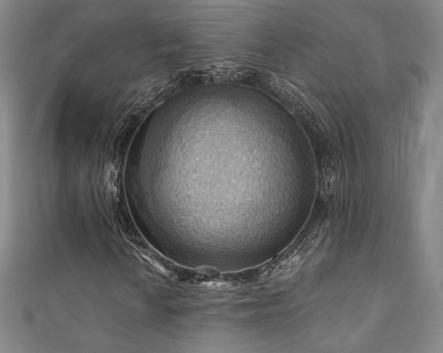 X0000111361010200907171159
