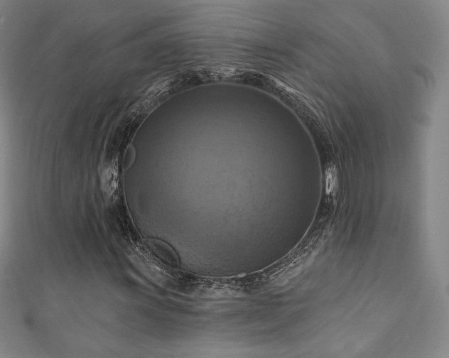 X0000111361011200907171159