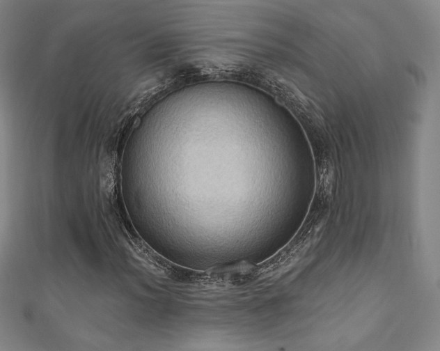 X0000111361012200907171159
