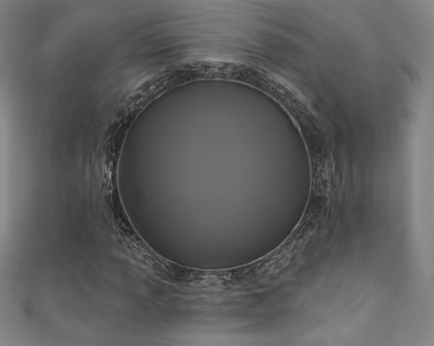 X0000111361013200907171159