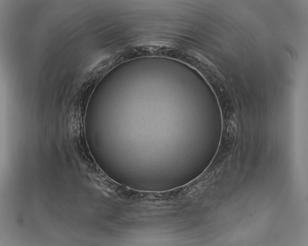 X0000111361014200907171159