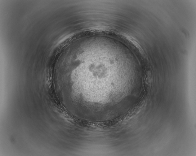 X0000111361015200907171159
