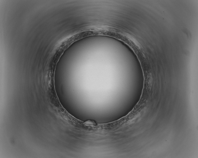 X0000111361016200907171159