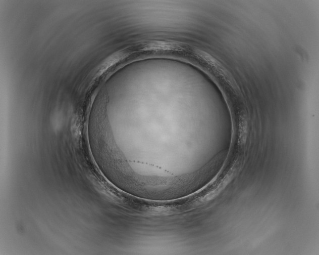X0000111361017200907171159