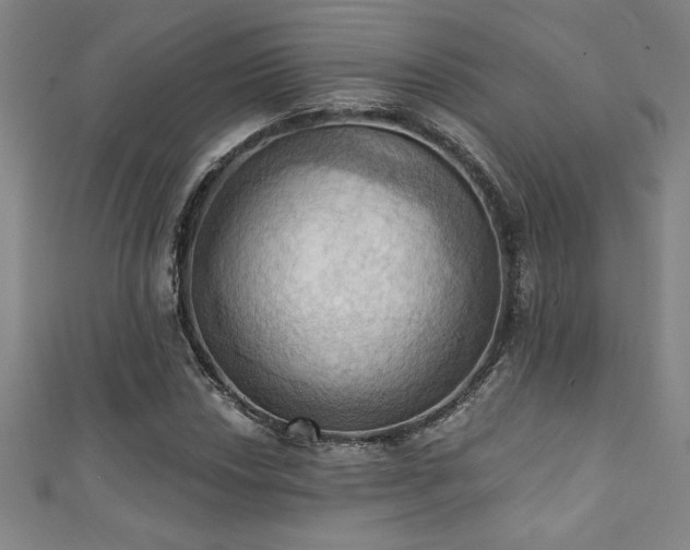 X0000111361018200907171159
