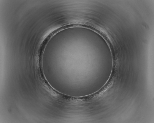 X0000111361019200907171159