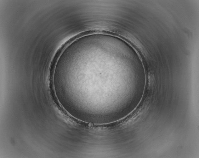 X0000111361020200907171159