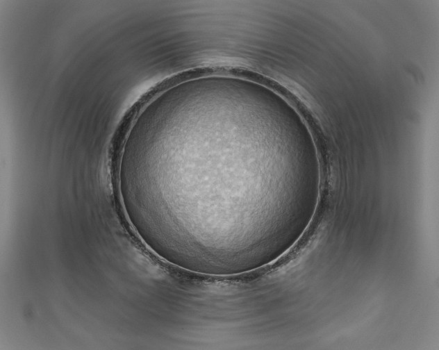 X0000111361022200907171159