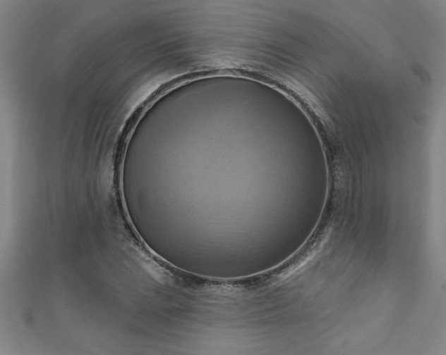 X0000111361023200907171159