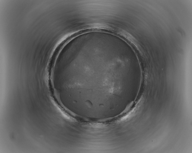 X0000111361024200907171159