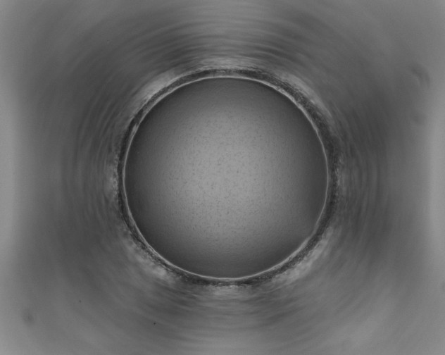 X0000111361025200907171159