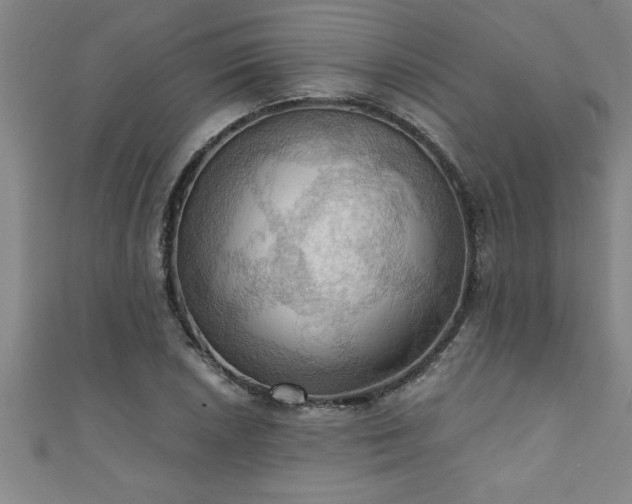 X0000111361026200907171159