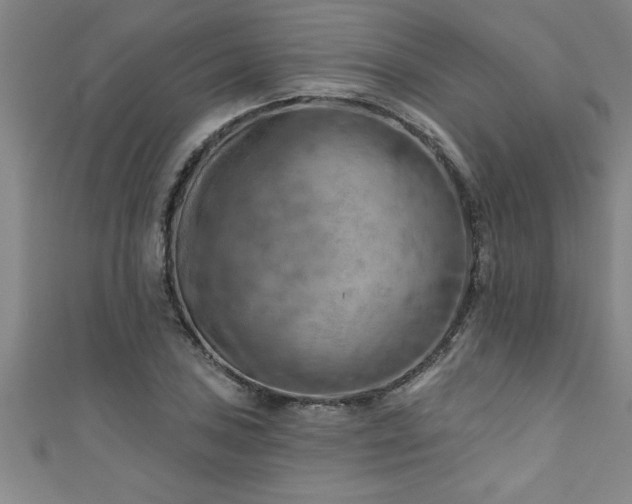X0000111361027200907171159