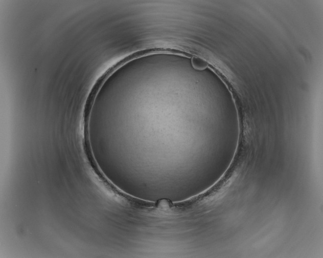 X0000111361028200907171159
